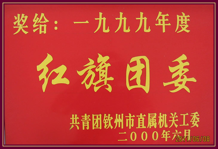 1999年度红旗团委